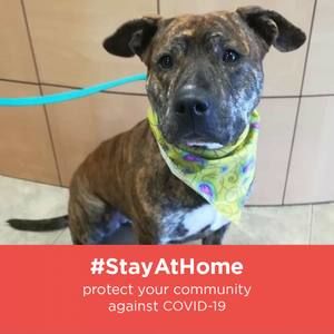 Meet your Posher, Lorrie